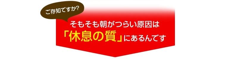 アqǂɁIyYzQVENȂ] TCg5